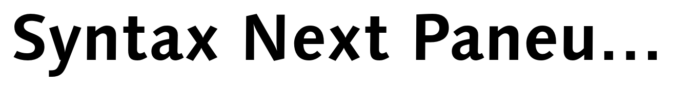 Syntax Next Paneuropean Bold